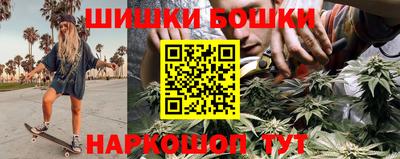 индика Новозыбков