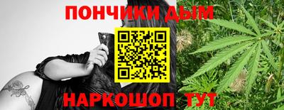 индика Новозыбков