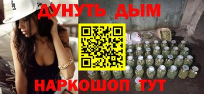 индика Новозыбков