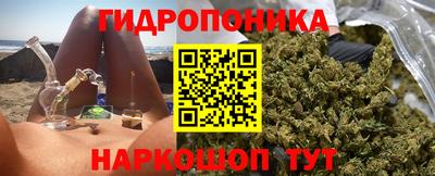 индика Новозыбков
