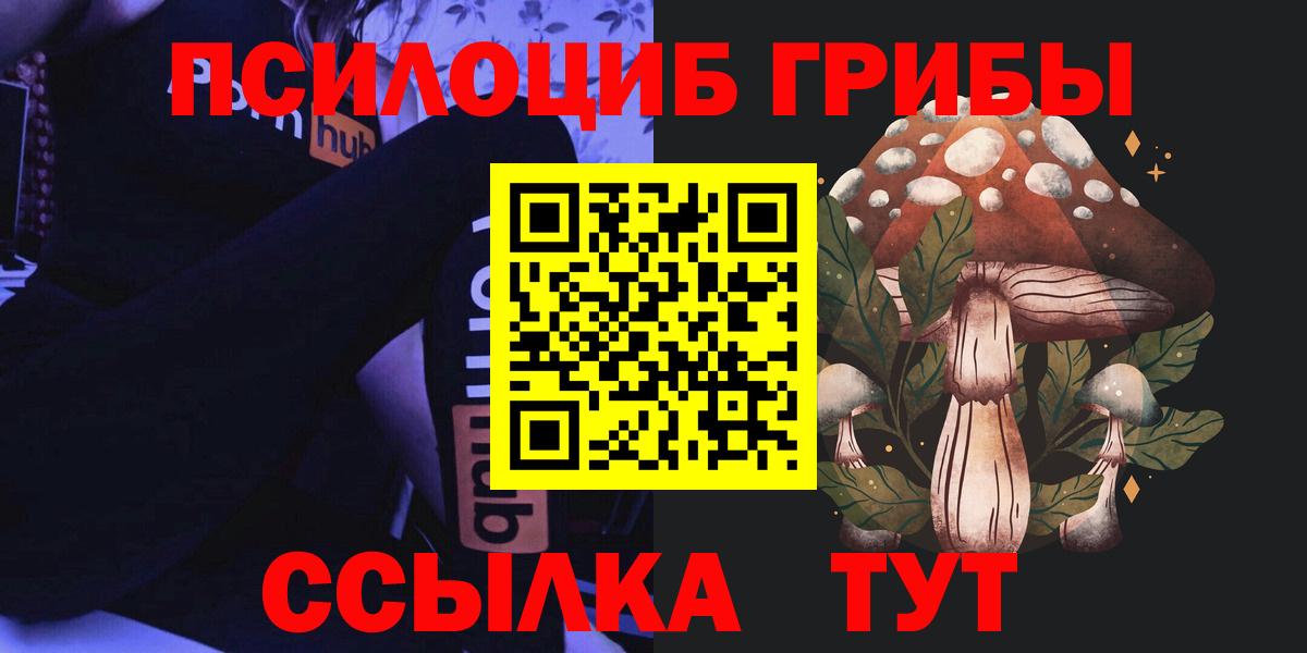 Псилоцибиновые грибы Psilocybine cubensis Сыктывкар